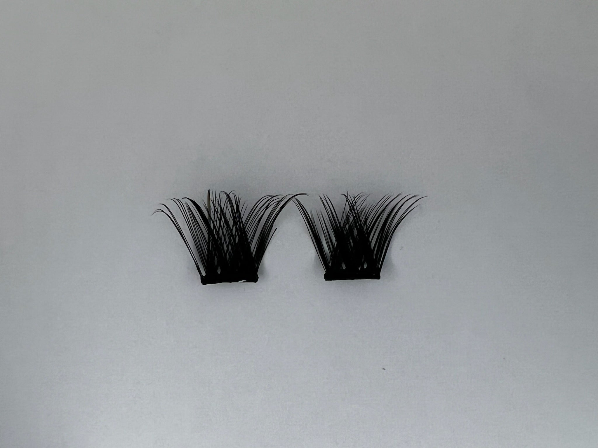 Pair of false eyelashes on a white background